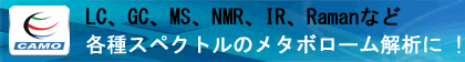 CAMO_banner.gif